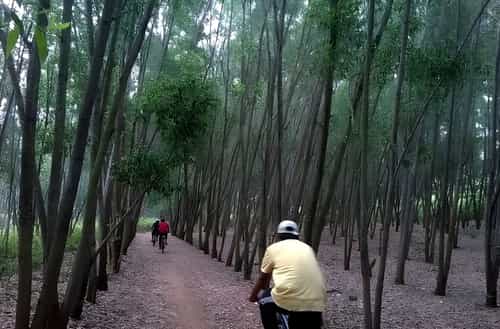 Turahalli Forest