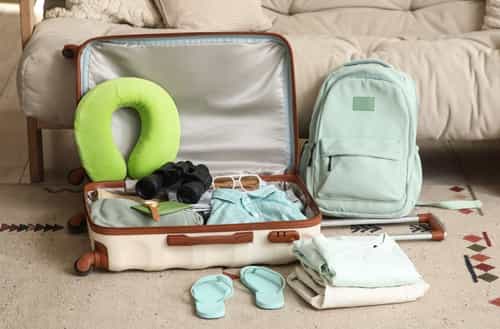 Smart Packing Tips for a Fun World Picnic